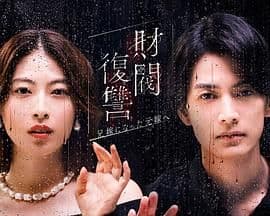 财阀复仇:致成为嫂子的前妻海报