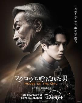 黑幕风云海报