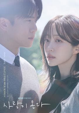 爱情来了2026海报