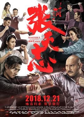 叶问外传:张天志(国语版)海报